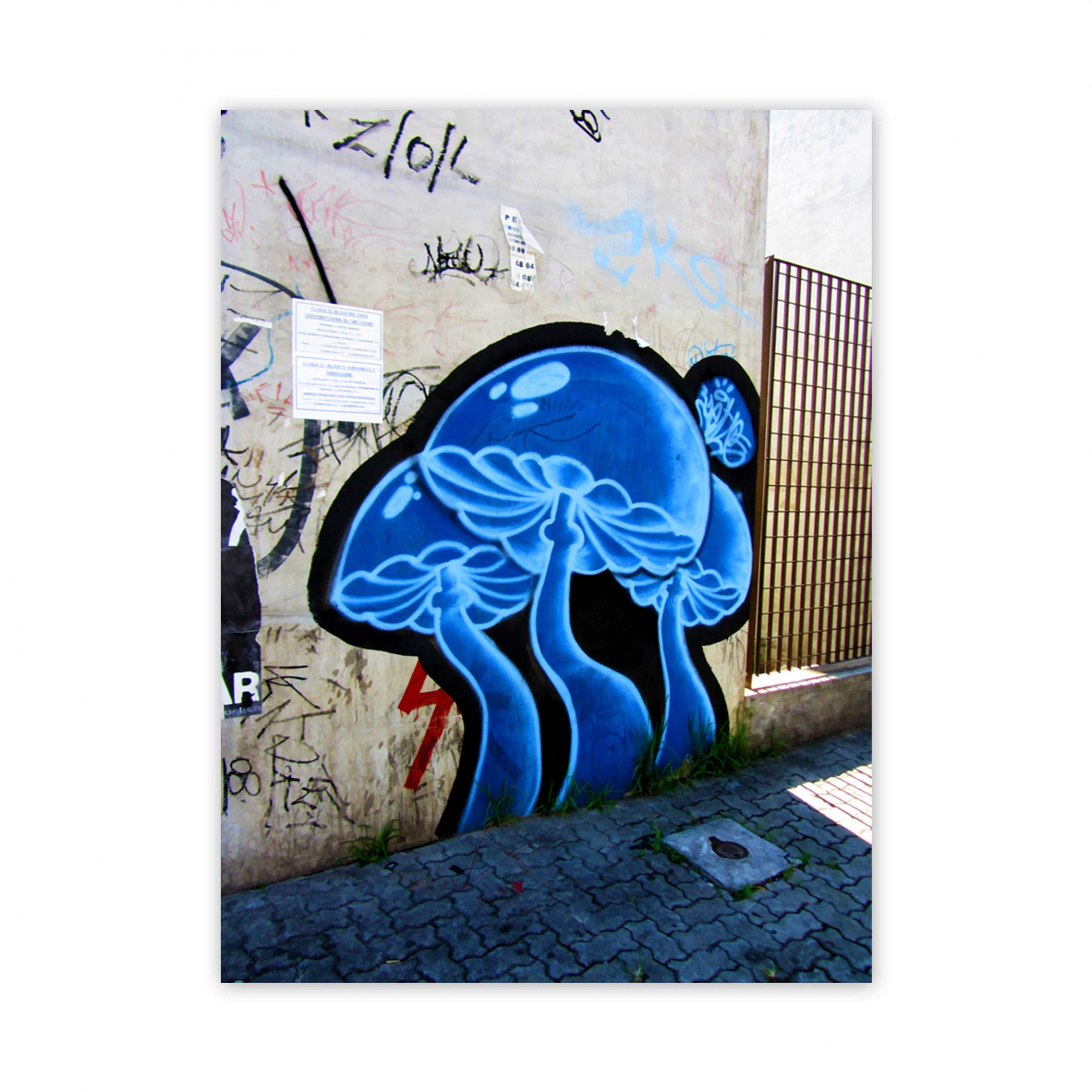 Art Photo Graffiti Mural Street Magic Mushrooms Poster Print