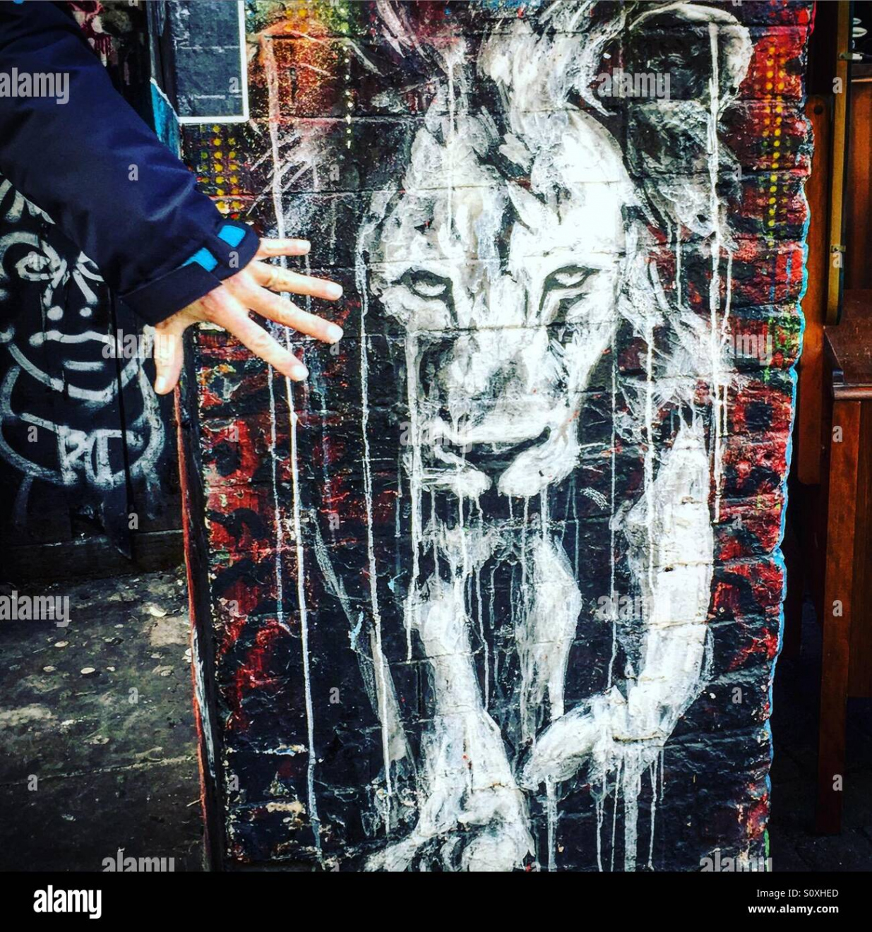 Graffiti lion hi-res stock photography and images - Alamy