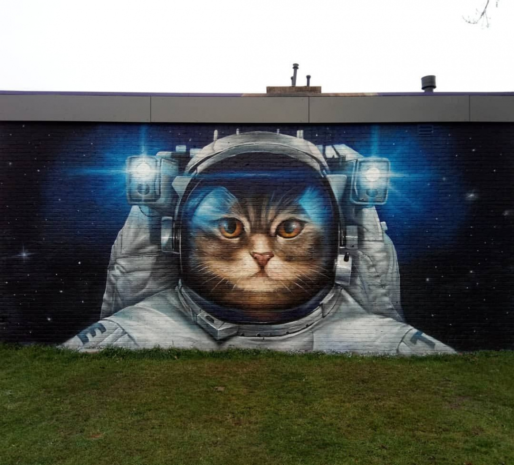 graffiti #streetart #street #urban #instaart #cat #space #mural