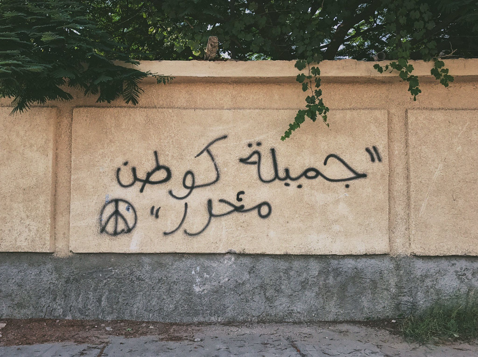 𝘏 𝘈 𝘋 𝘌 𝘌 𝘓 🇵🇸 adlı kullanıcının street art panosundaki