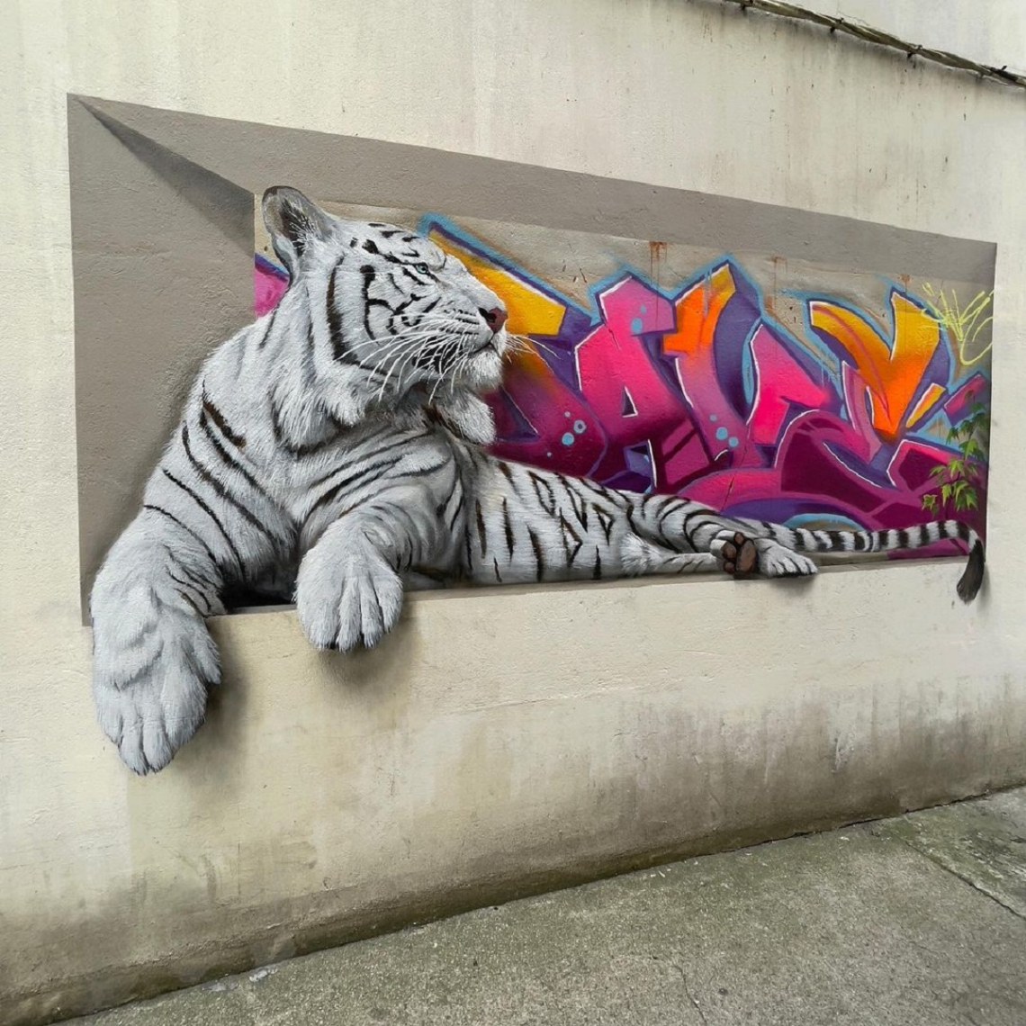 I mainly paint animals threatened with extinction (graffiti by