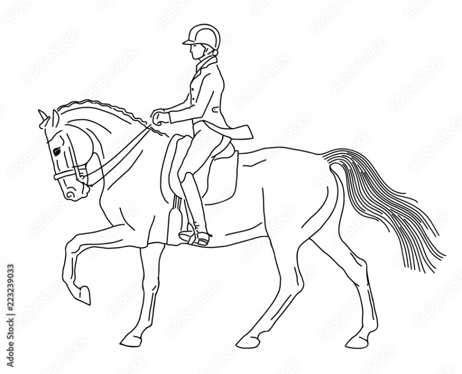 A sketch of a dressage rider on a horse