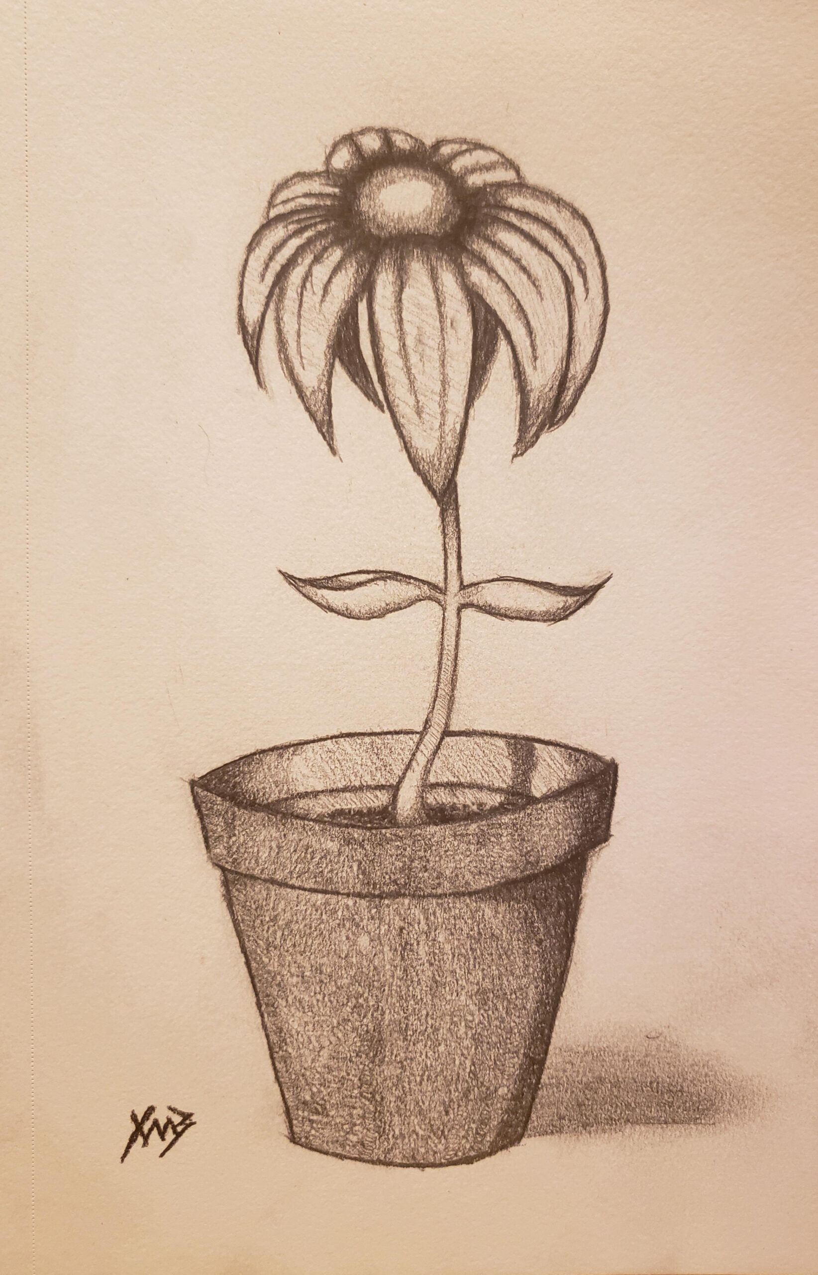 a strange flower I did : r/sketches