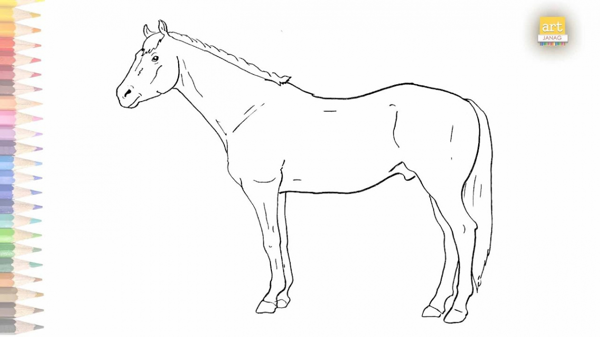 American Quarter Horse drawing easy  How to draw Quarter Horse step by  stepHorse drawing tutorials