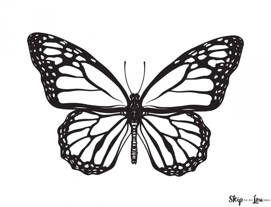 Beautiful Butterfly Coloring Pages to Download and Print