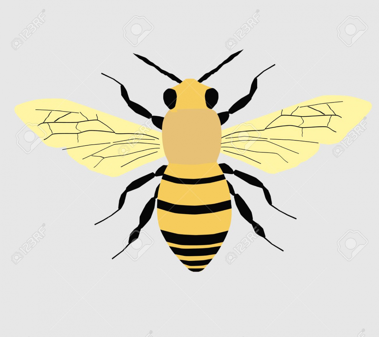 Bee d Draw Royalty Free SVG, Cliparts, Vectors, and Stock