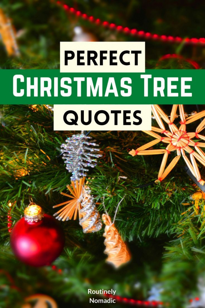 Best Christmas Tree Quotes  Christmas tree quotes, Tree quotes