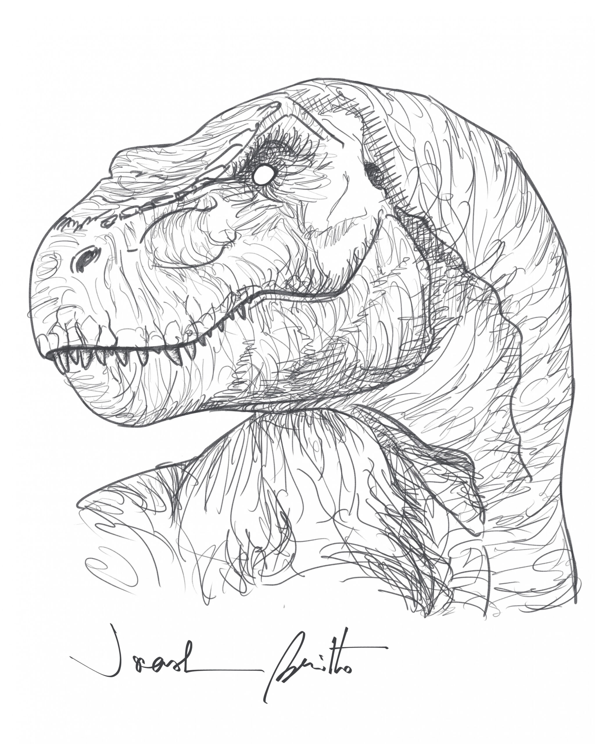 Best Dinosaur Drawing ideas in   dinosaur drawing