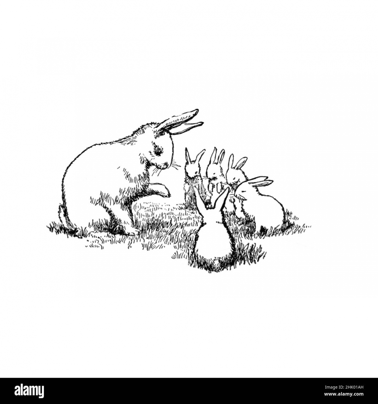 Black and white illustration, bunny rabbit with five little