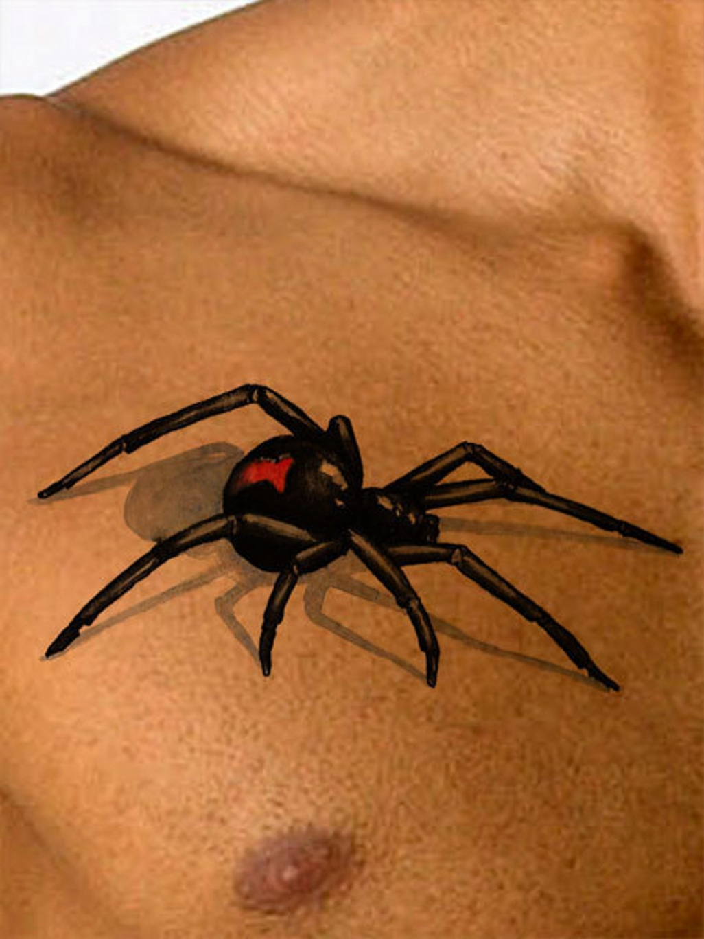 Black Widow Spider, D Tattoo Design, Back Tattoo Drawing, Instant Download  From Art Instantly - Etsy