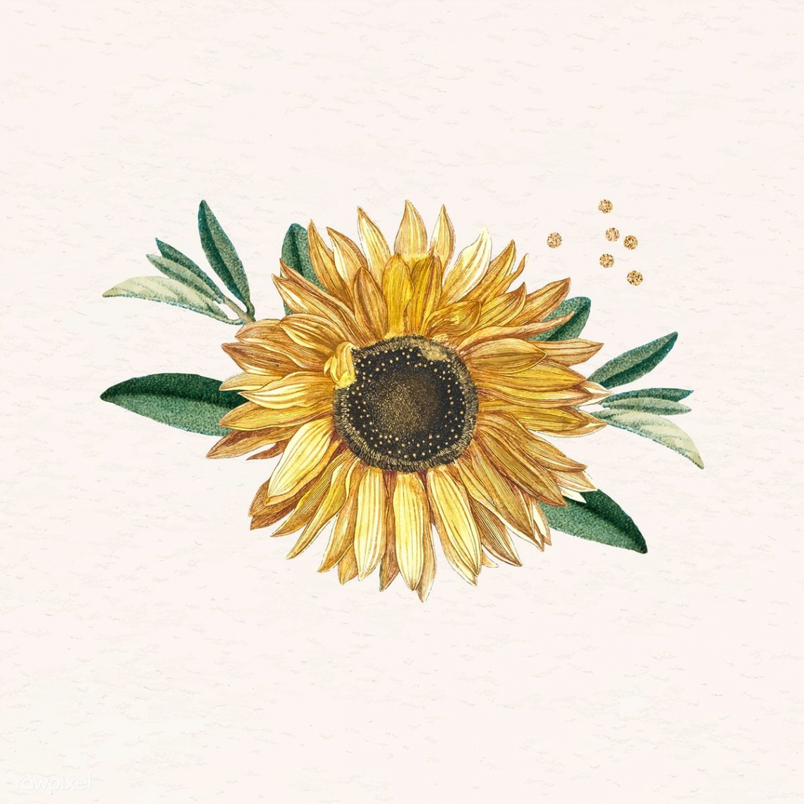 Blooming sunflower design element vector  premium image by