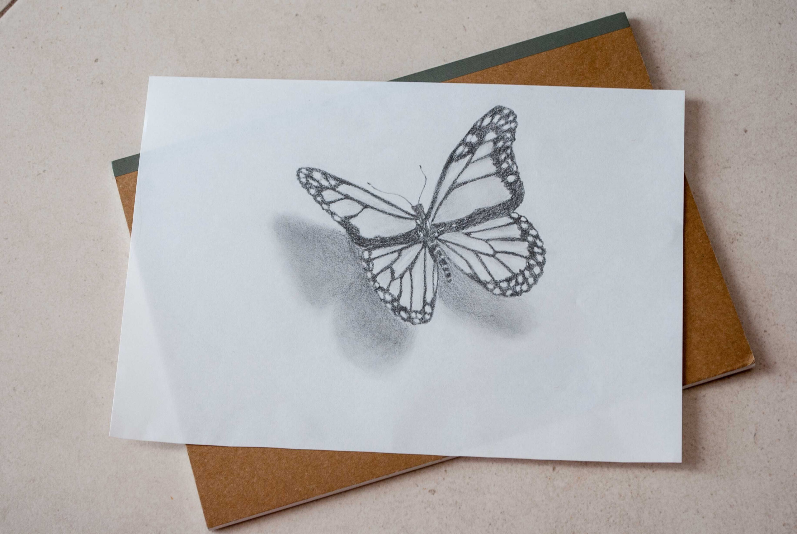 Butterfly drawing in D