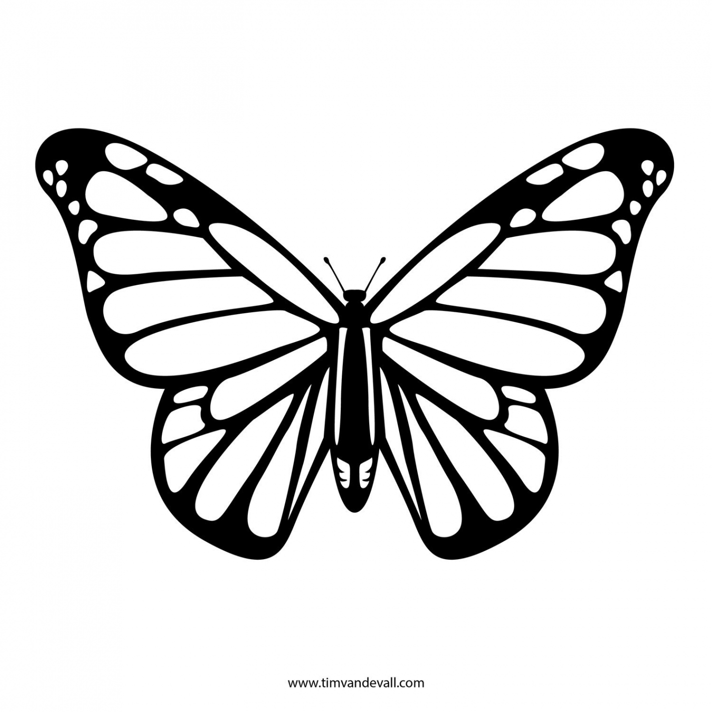 Butterfly Stencil – Tim