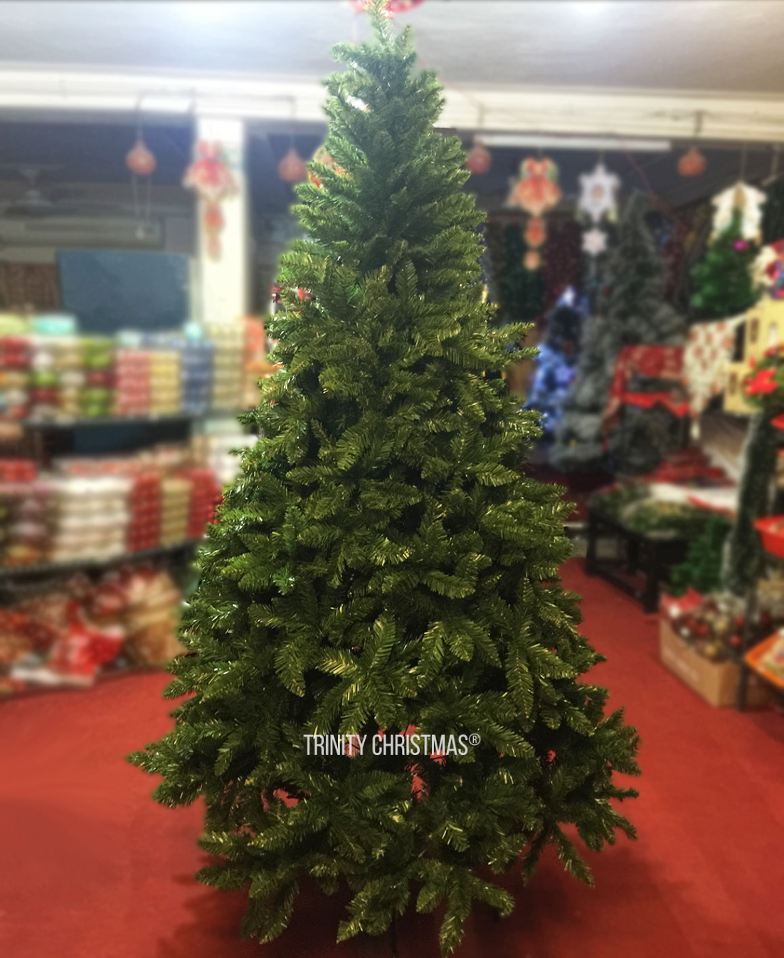 Buy  feet Christmas tree online   Ft Spruce xmas tree