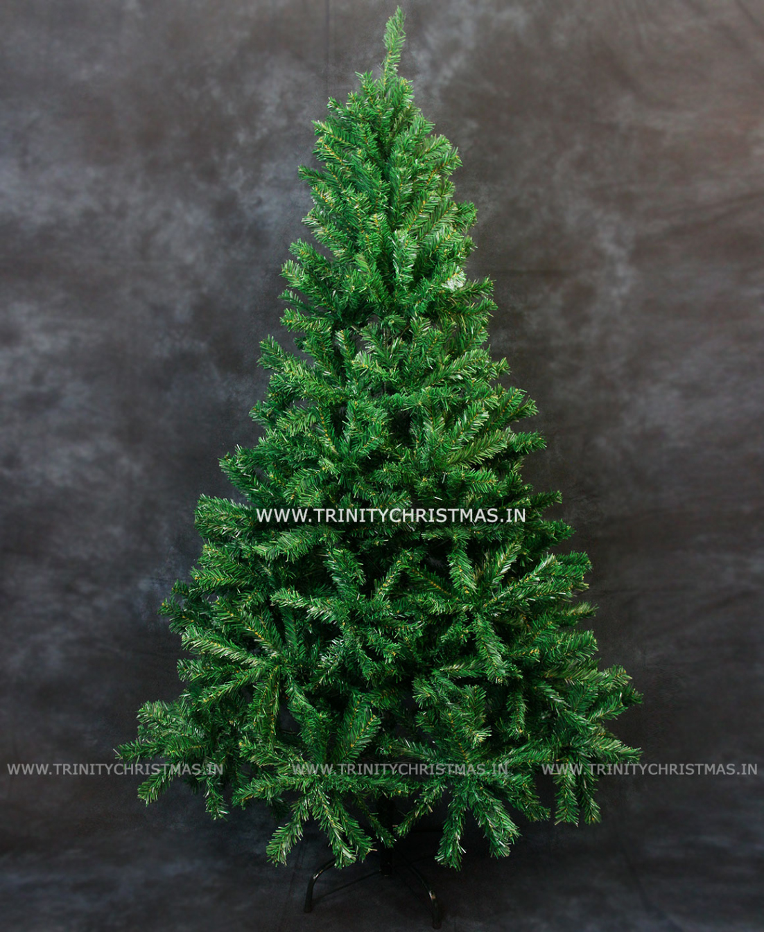 Buy Premium Evergreen Christmas Tree  Feet Online India