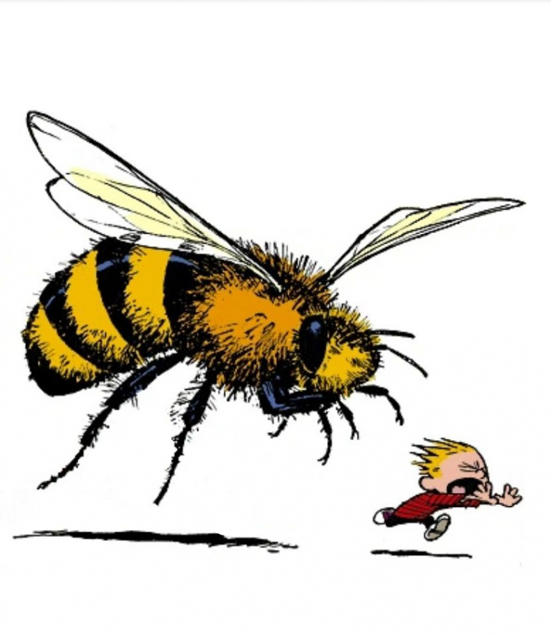 Calvin being chased by a giant bee - art by Bill Watterson  Bee