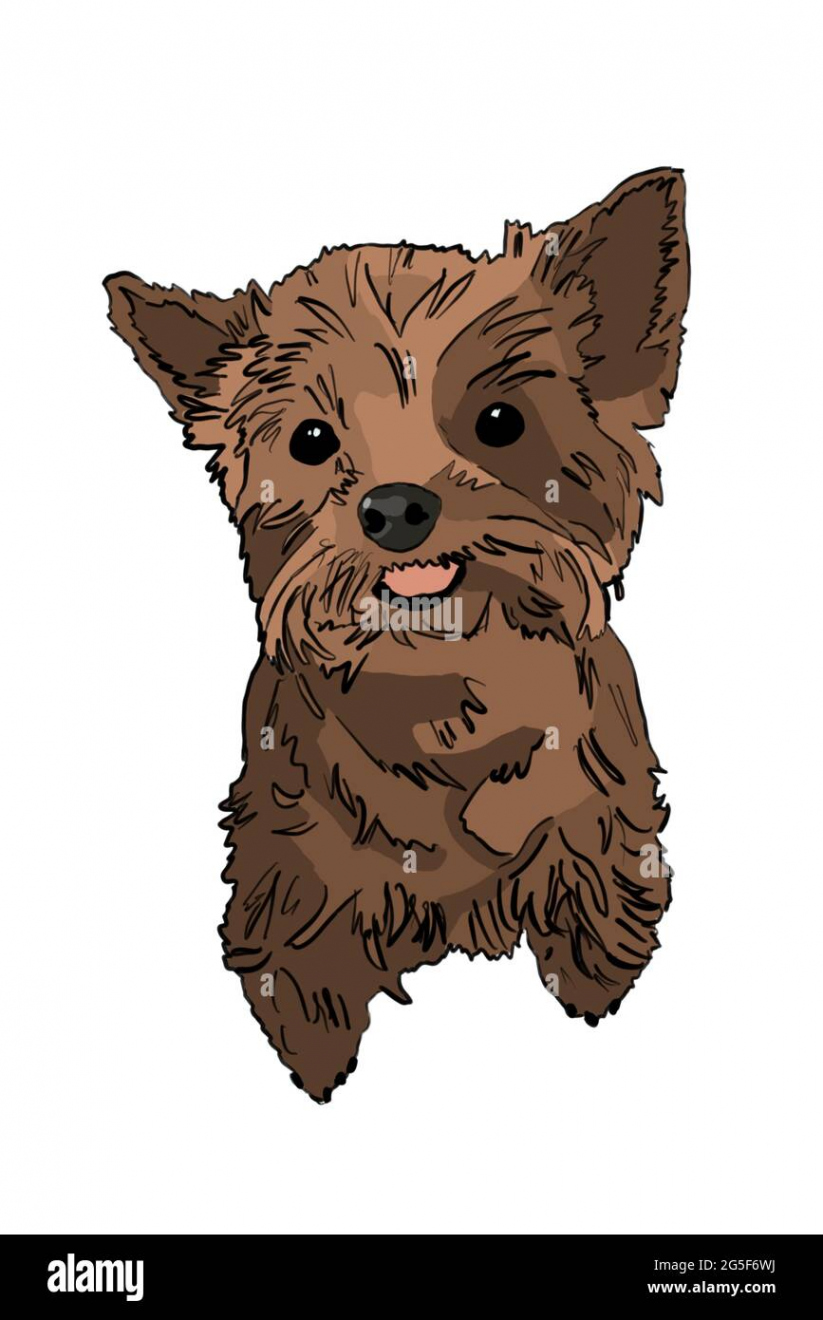 Cartoon drawing of Cute Yorkshire terrier dog with its tongue out