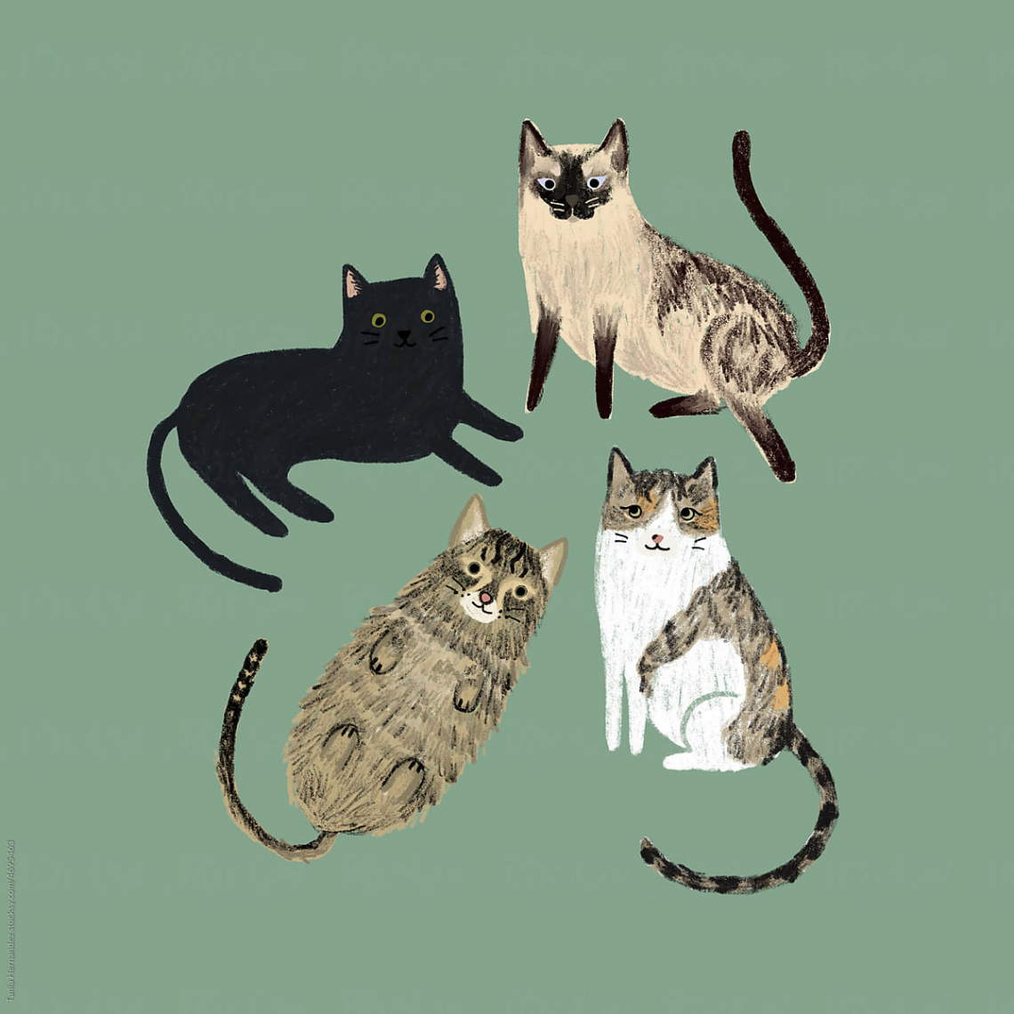 CATS IN GREEN" by Stocksy Contributor "Tania Hernández" - Stocksy