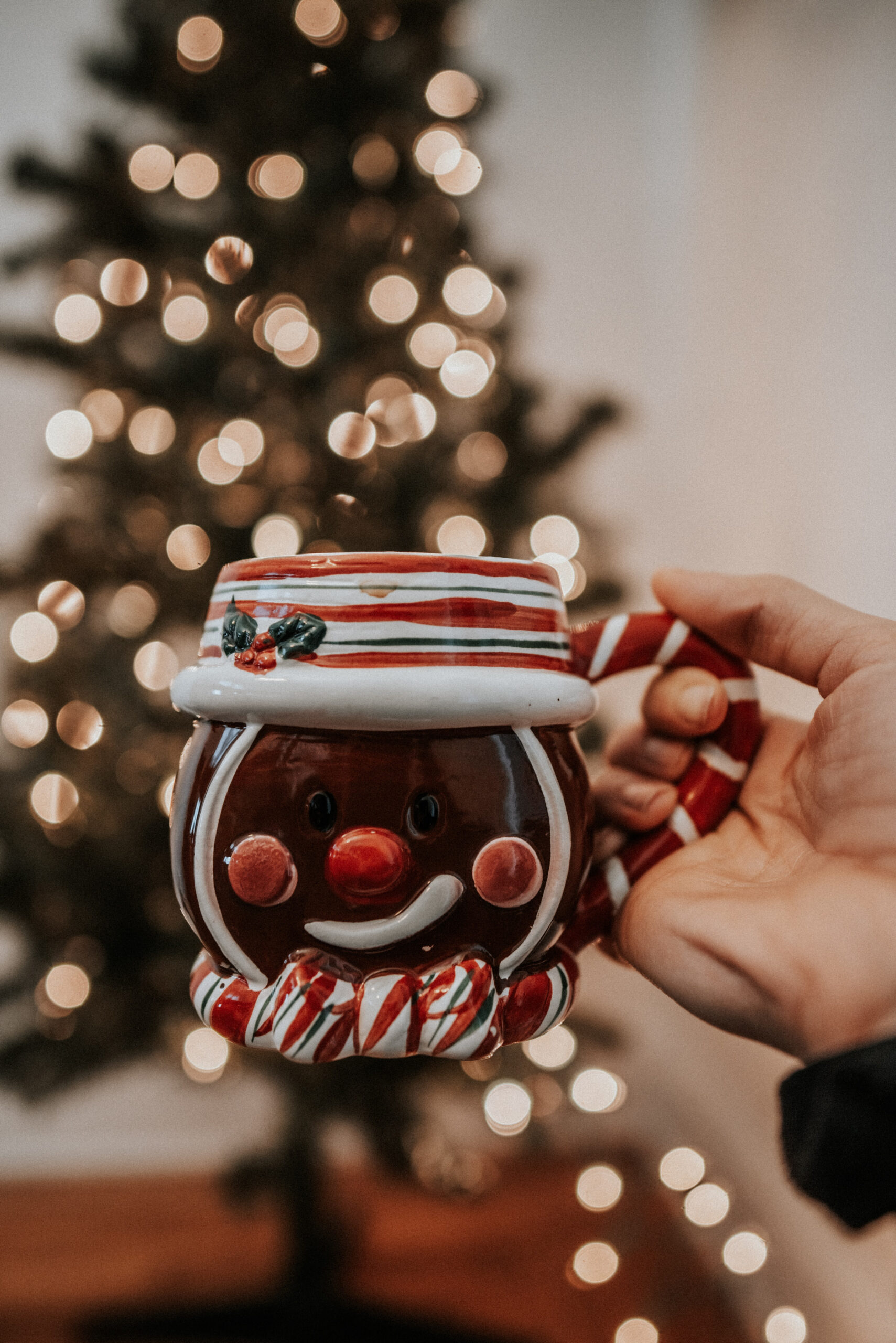 Christmas Aesthetic Pictures  Download Free Images on Unsplash