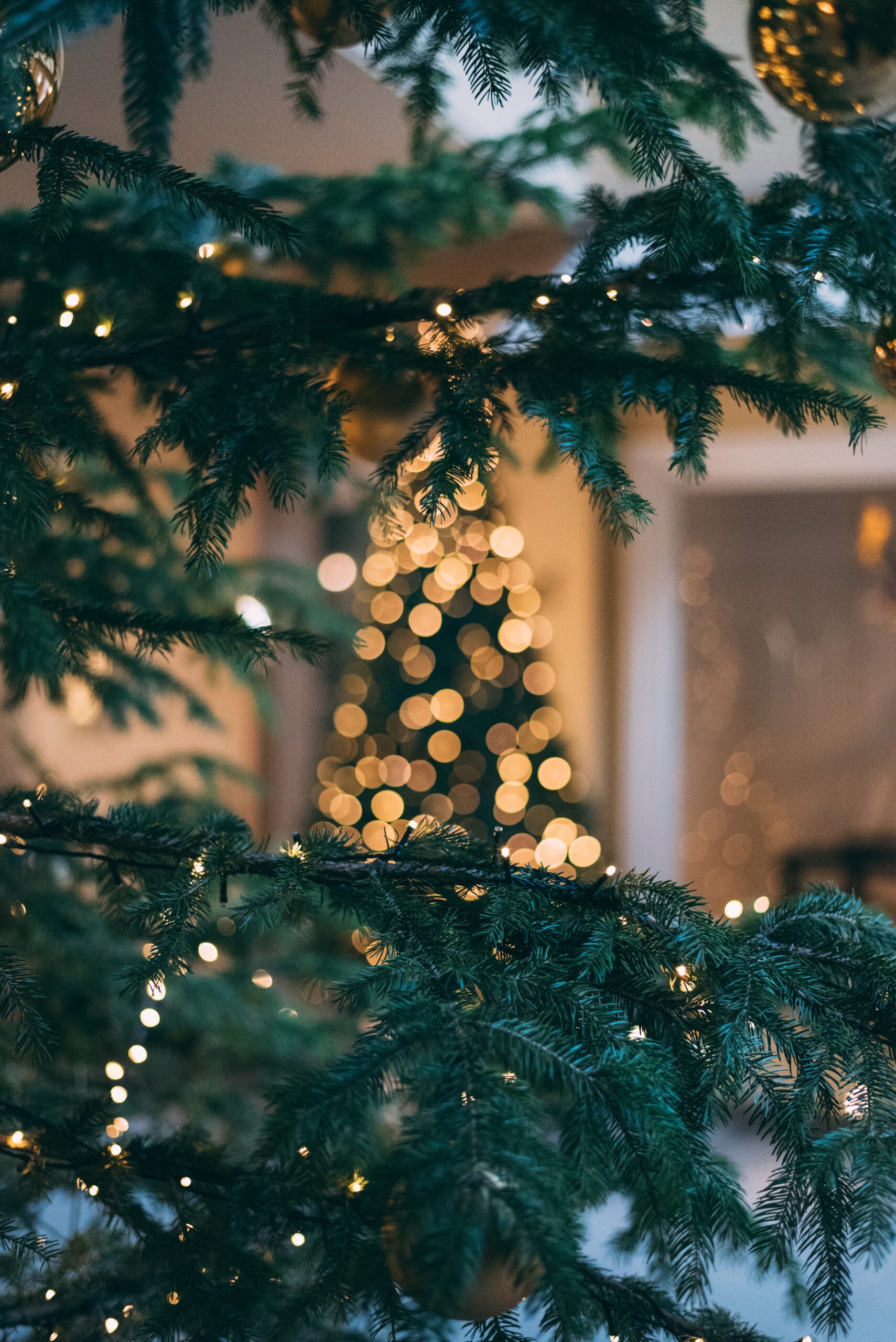 Christmas Aesthetic Pictures  Download Free Images on Unsplash