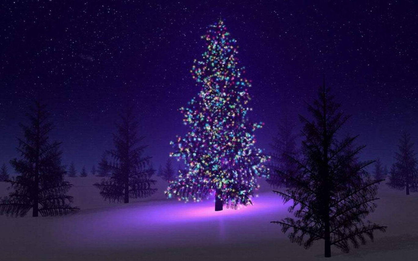 Christmas Backgrounds - Bing Images  Beautiful christmas trees