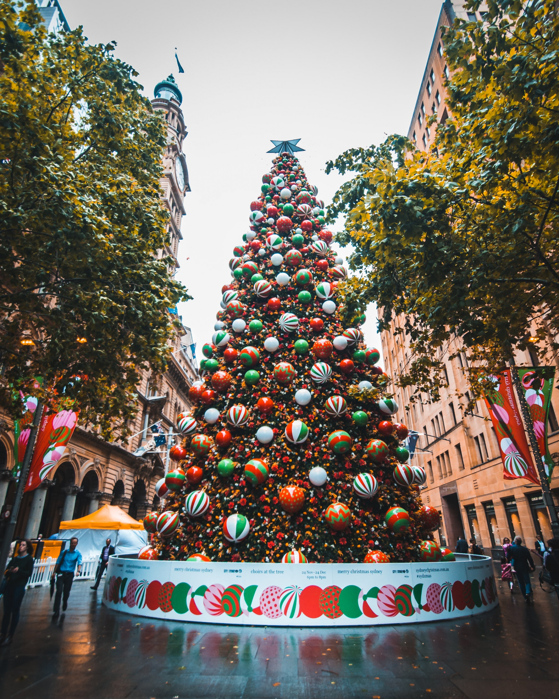 Christmas City Pictures  Download Free Images on Unsplash