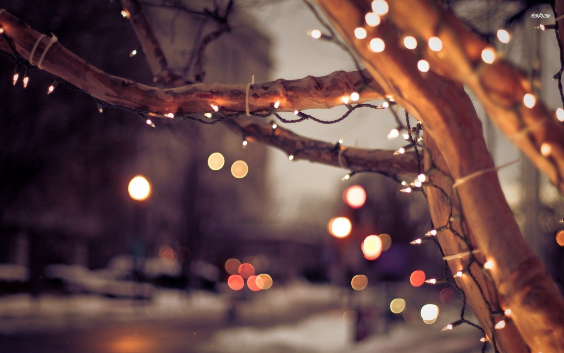 Christmas lights on the street HD wallpaper  Christmas wallpaper