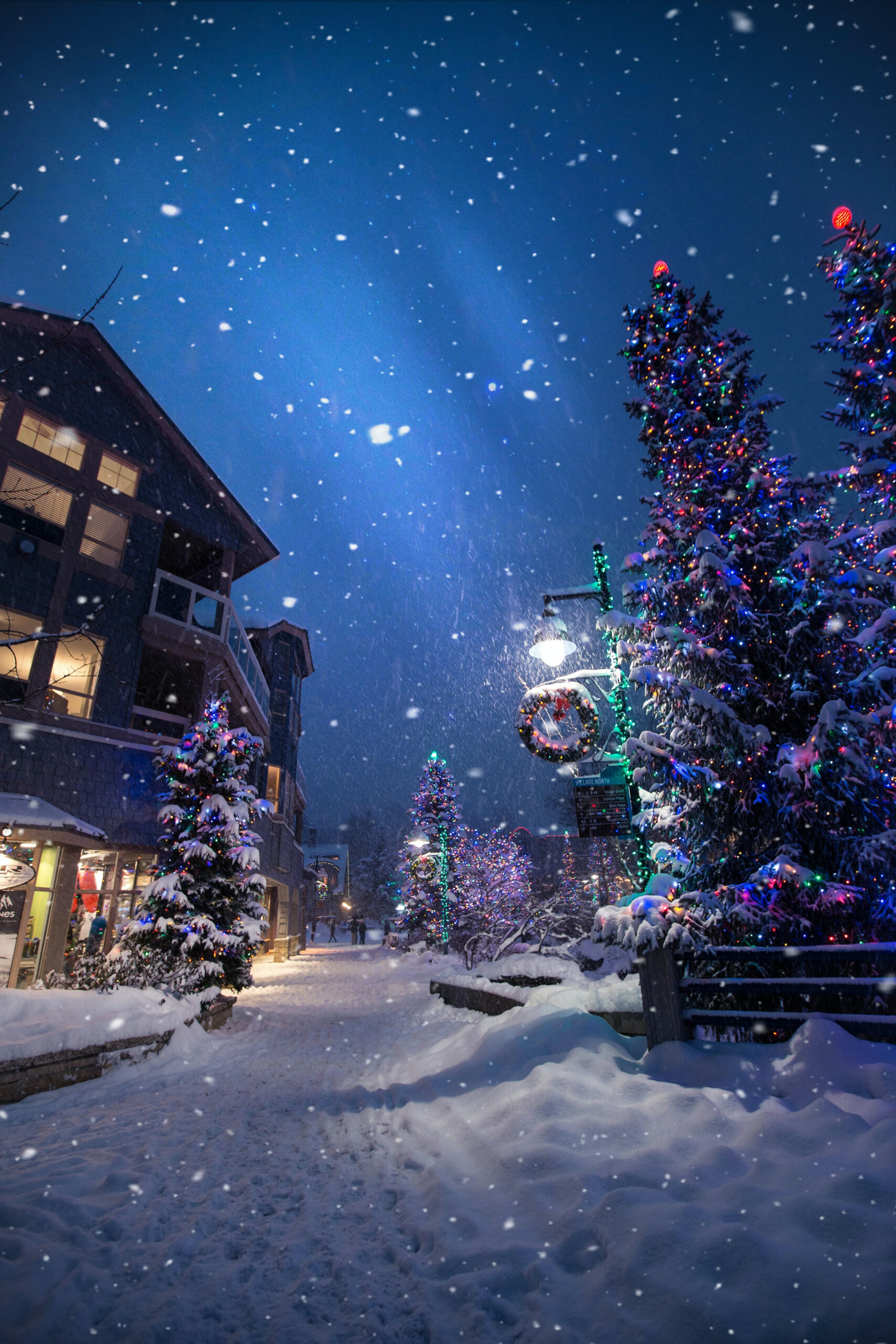 Christmas Town Pictures  Download Free Images on Unsplash