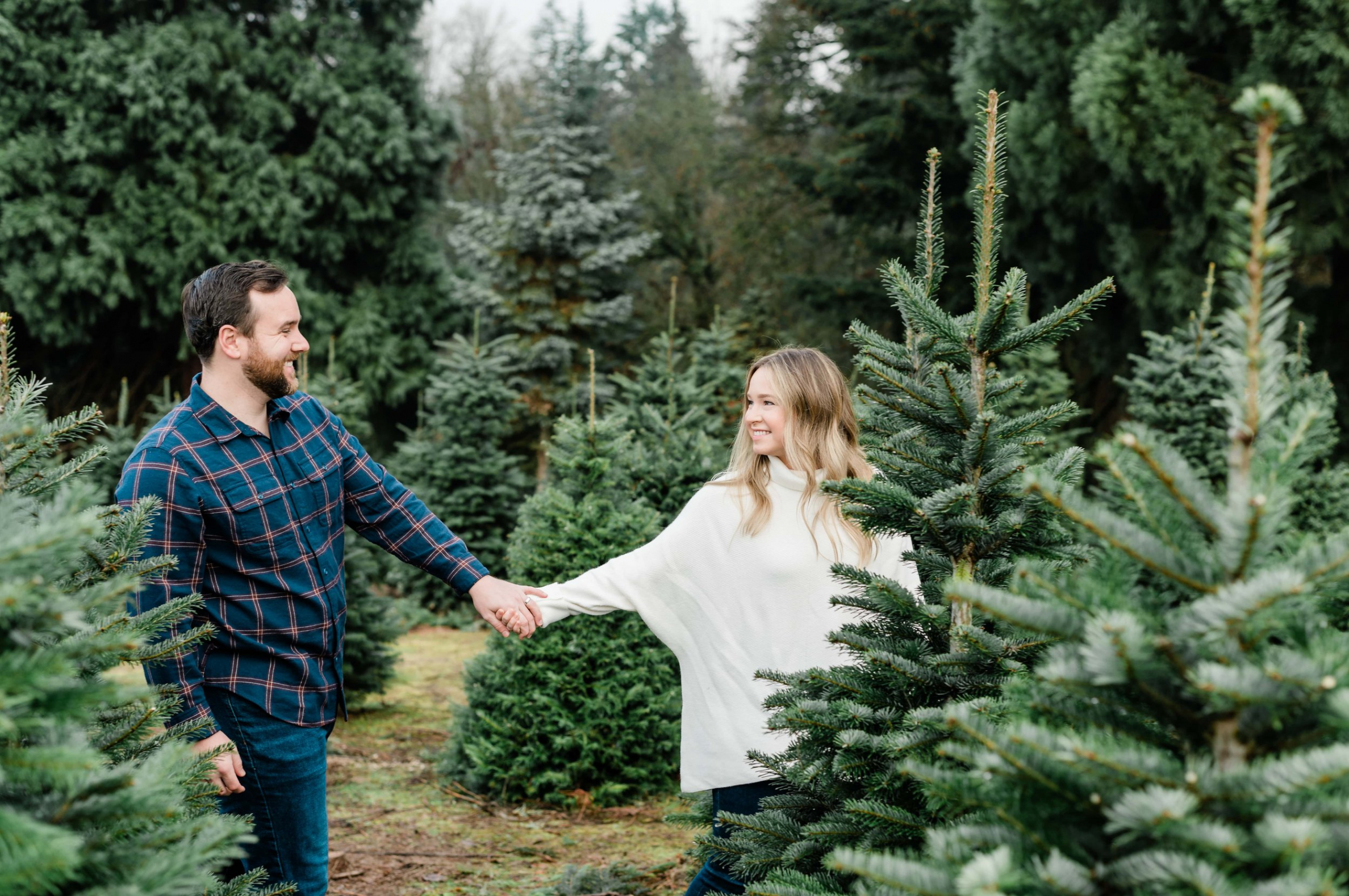 Christmas Tree Farm Photos - What to Wear Guide — Elizabeth Hite