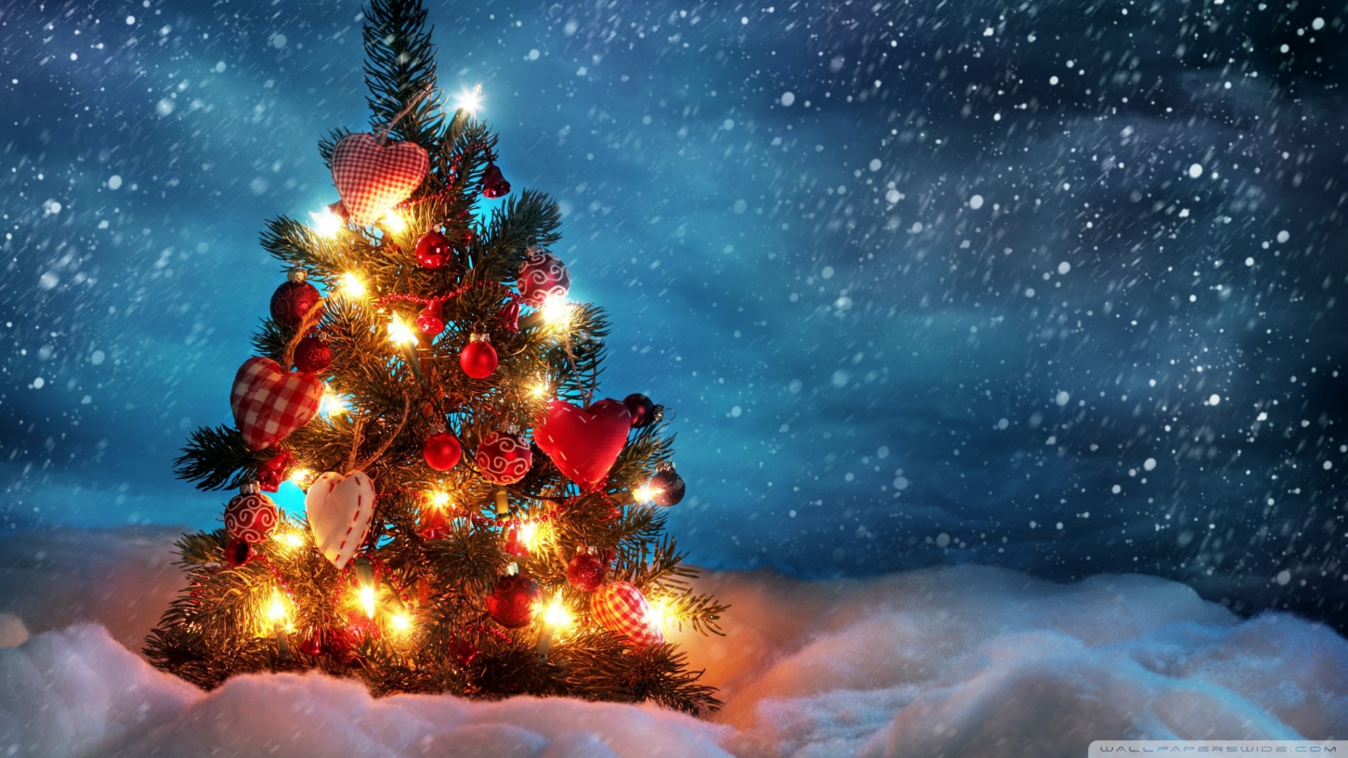 CHRISTMAS - TREE Ultra HD Desktop Background Wallpaper for K UHD