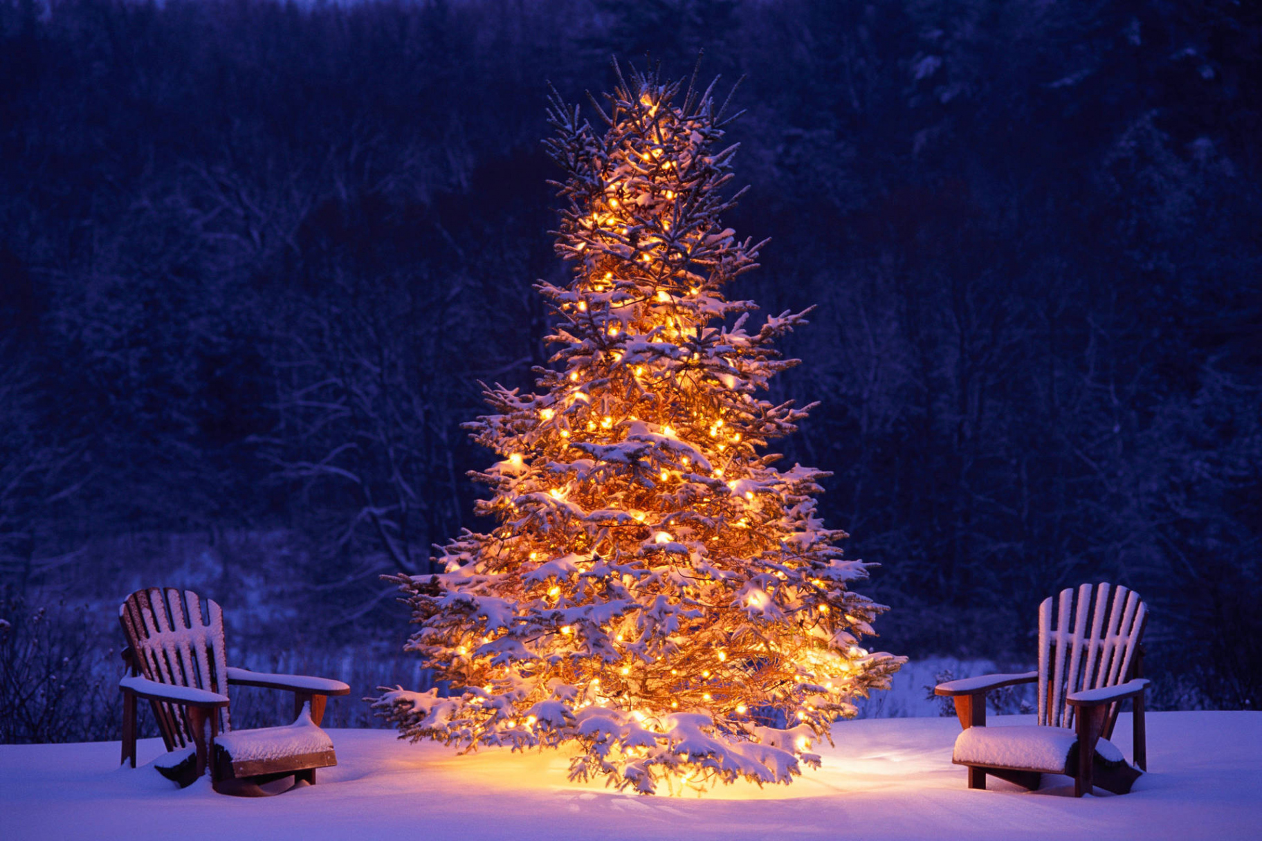 +] Christmas Tree Wallpapers  Wallpapers