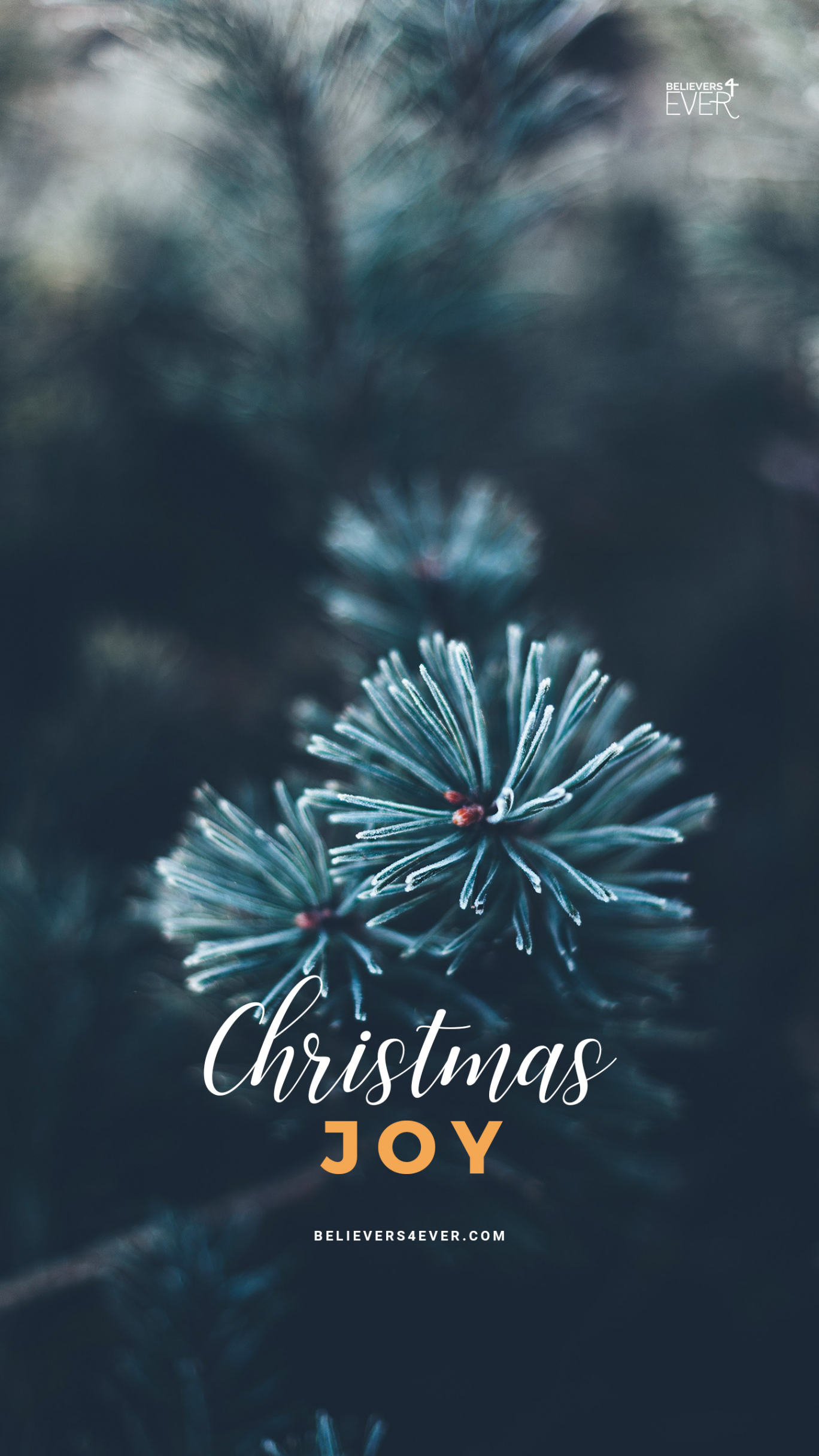 Christmas wallpaper Archives - Believersever