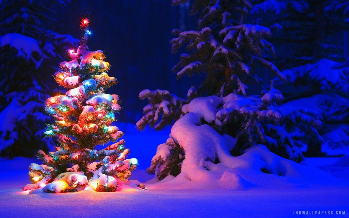 Christmas Windows  Wallpapers - Wallpaper Cave