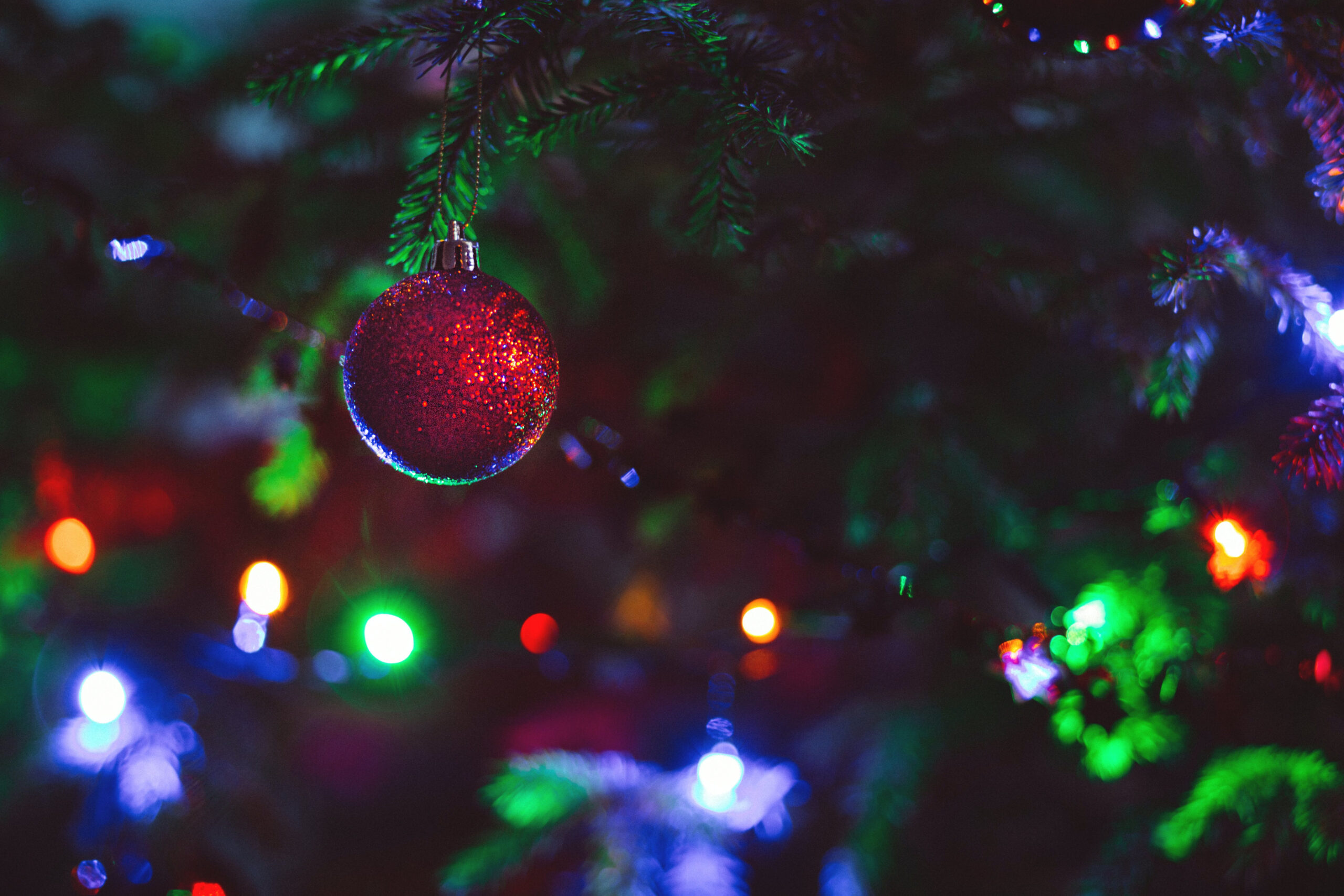 Close-up of Christmas Decoration Hanging on Tree · Free Stock Photo