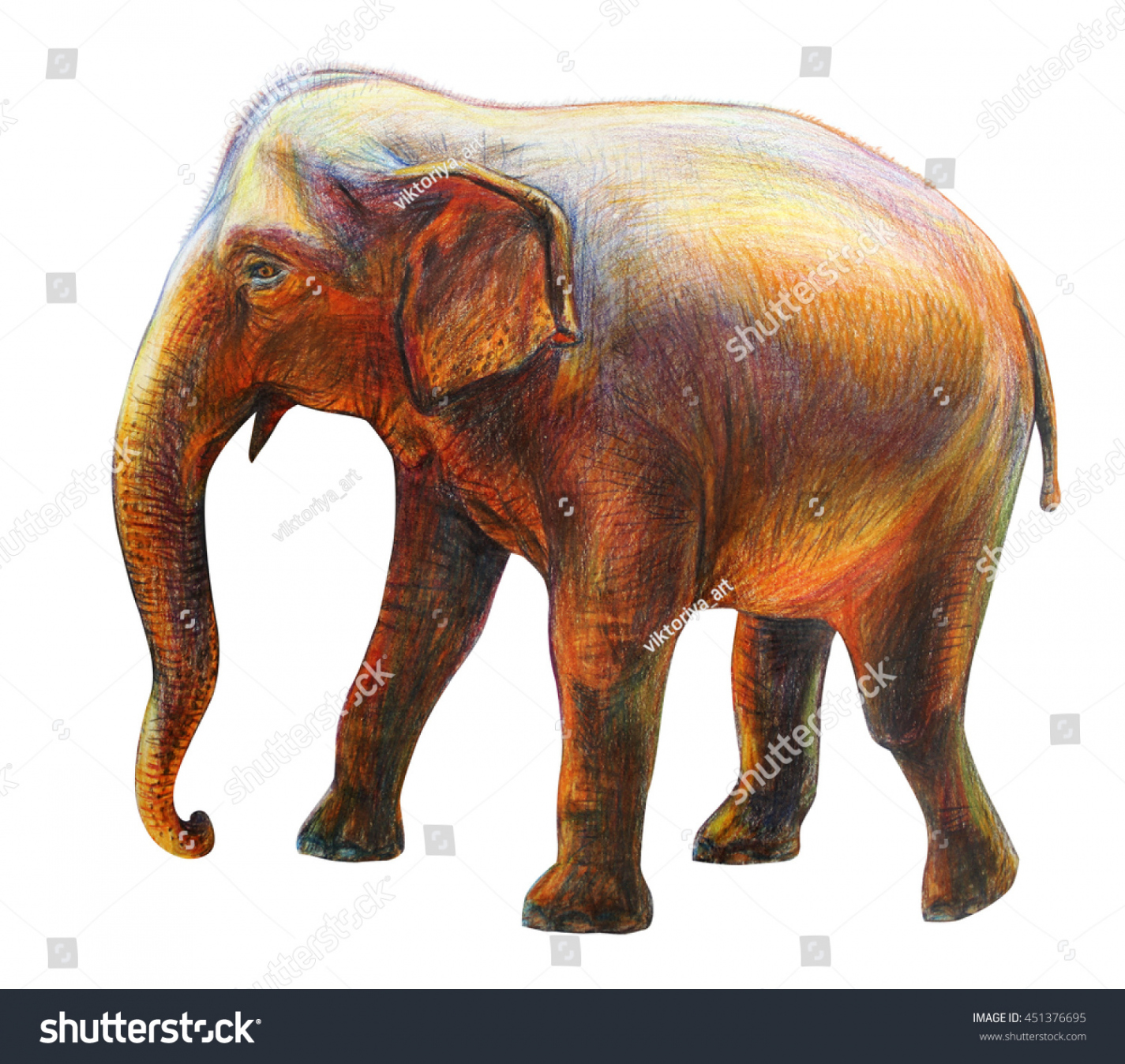 Colored Pencil Big Elephant Drawing Royalty-Free Images, Stock