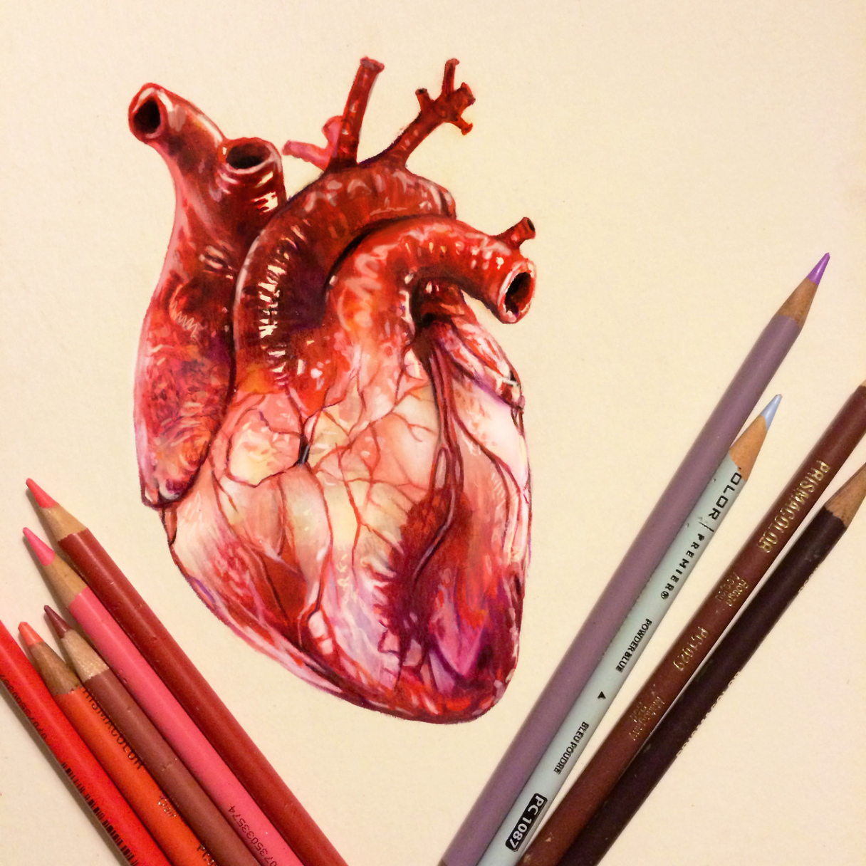 Colored Pencil Heart Study  Behance