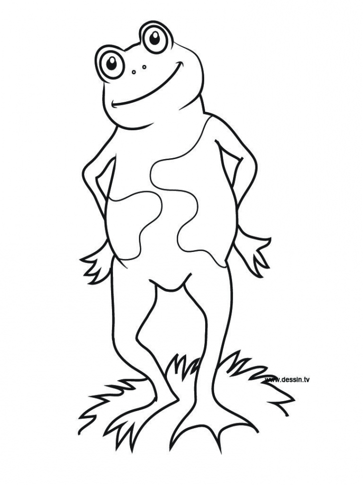 Coloring frog standing  Frog coloring pages, Summer coloring