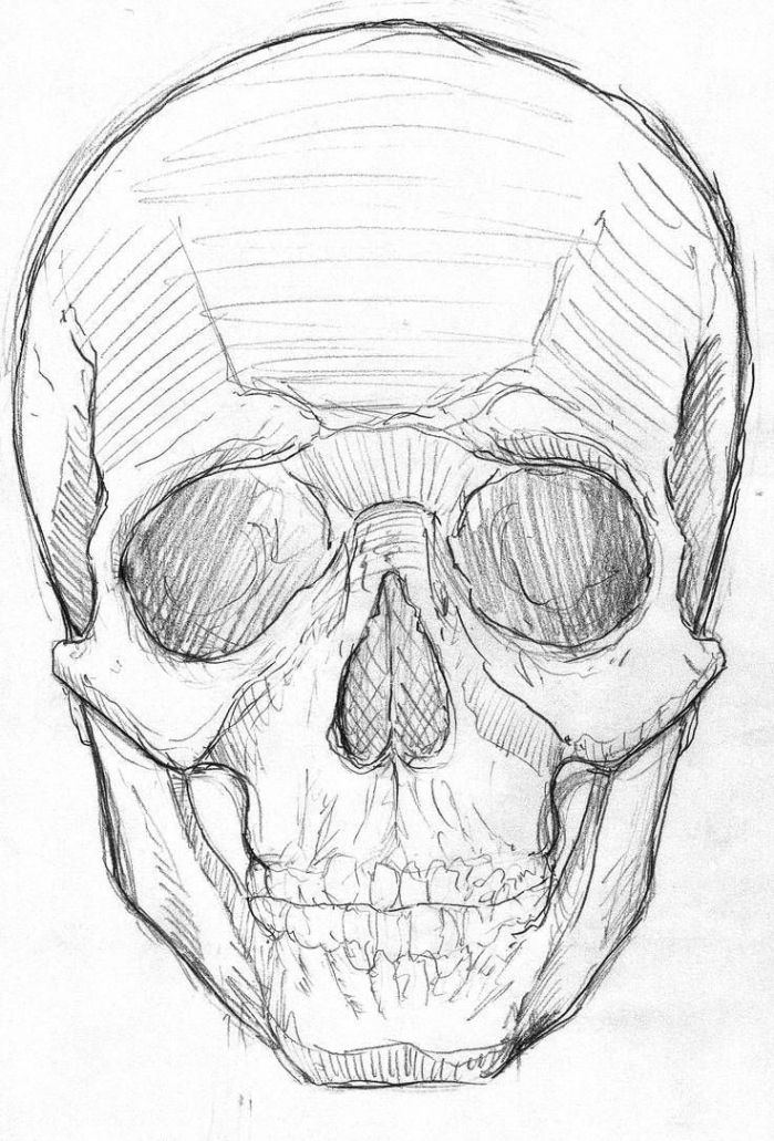 Coloring page in   Skull art drawing, Skeleton drawings