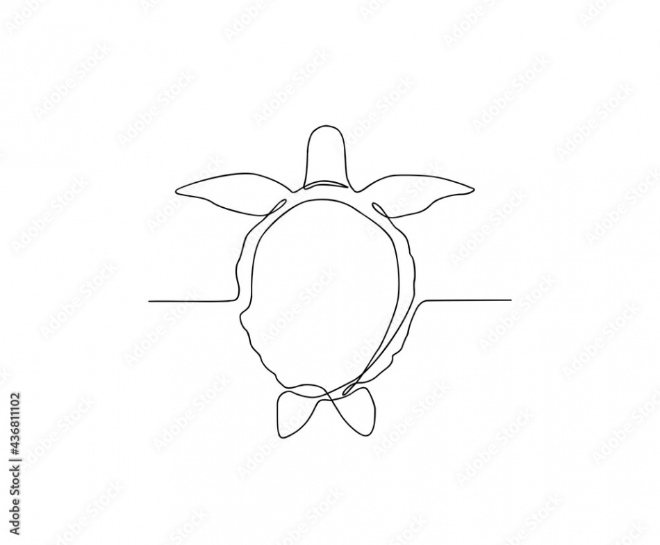 Continuous line art drawing of turtle