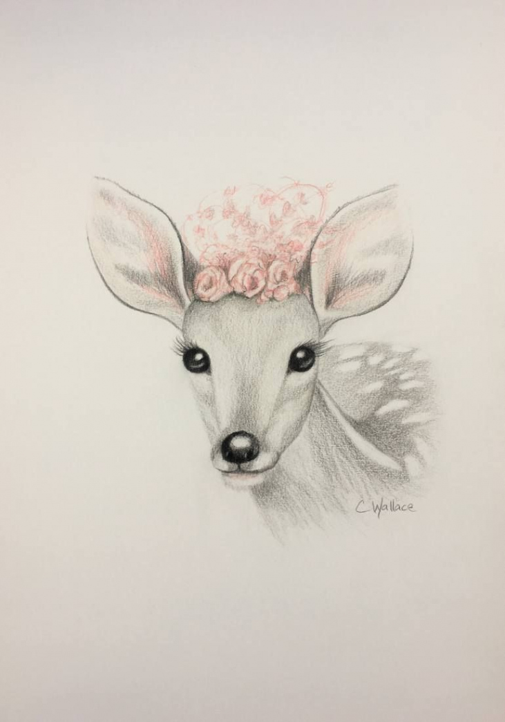 Cute Deer Drawing  Animal drawings sketches, Animal drawings