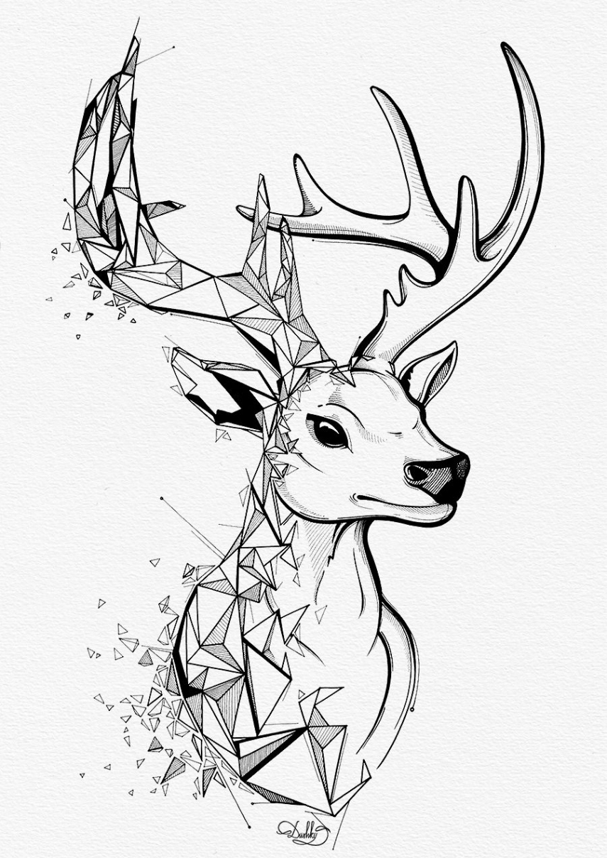 designed by #dushky / #art #illustration #drawing #design #deer