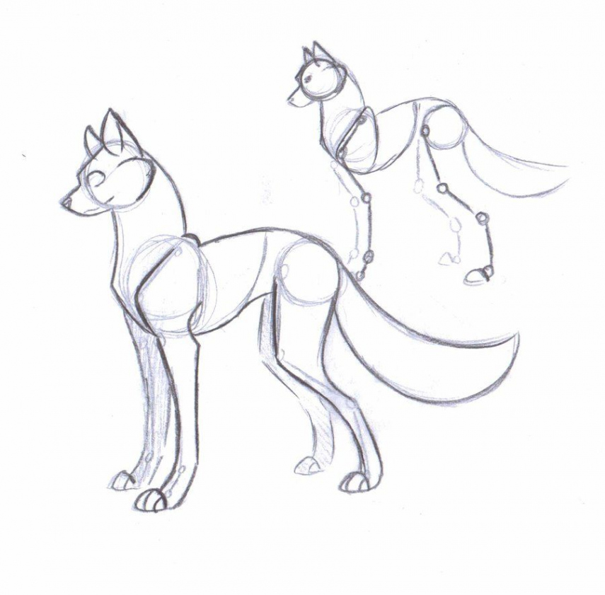 Dog Anatomy Ref by NekoZdemon on deviantART  Desenhando esboços