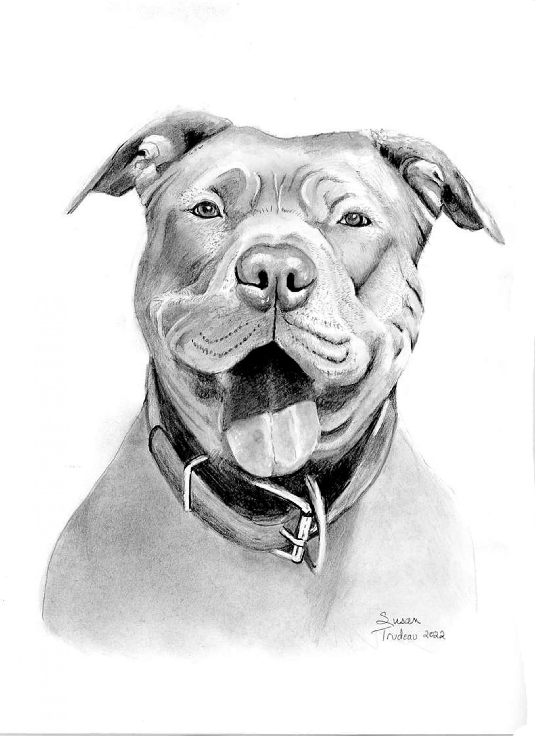 Dog Drawing Realistic-Dog Face Realistic Portrait Sketch-Graphite Animal  Drawing-Pit Bull Terrier