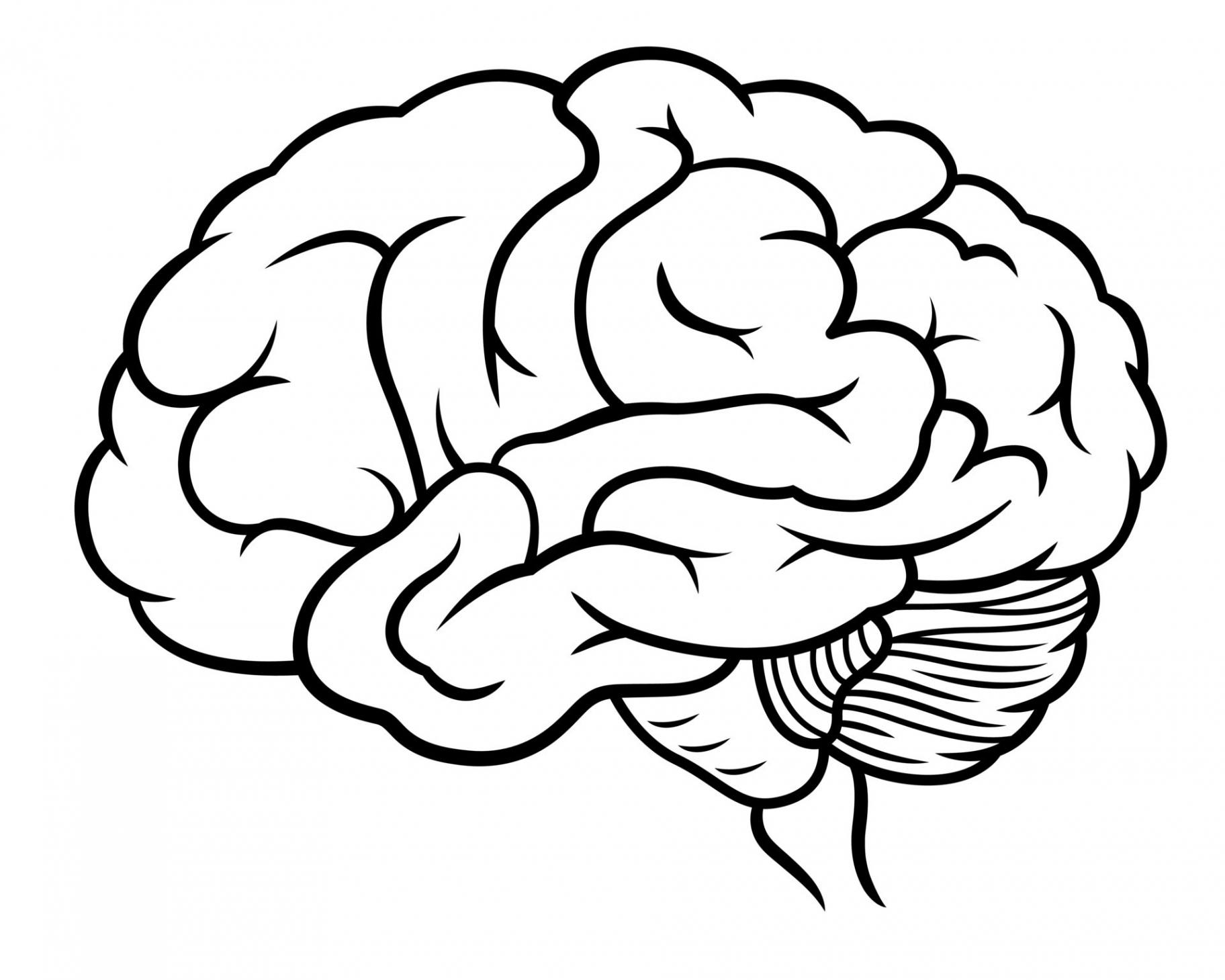 Doodle style human brain drawing  Vector Art at Vecteezy