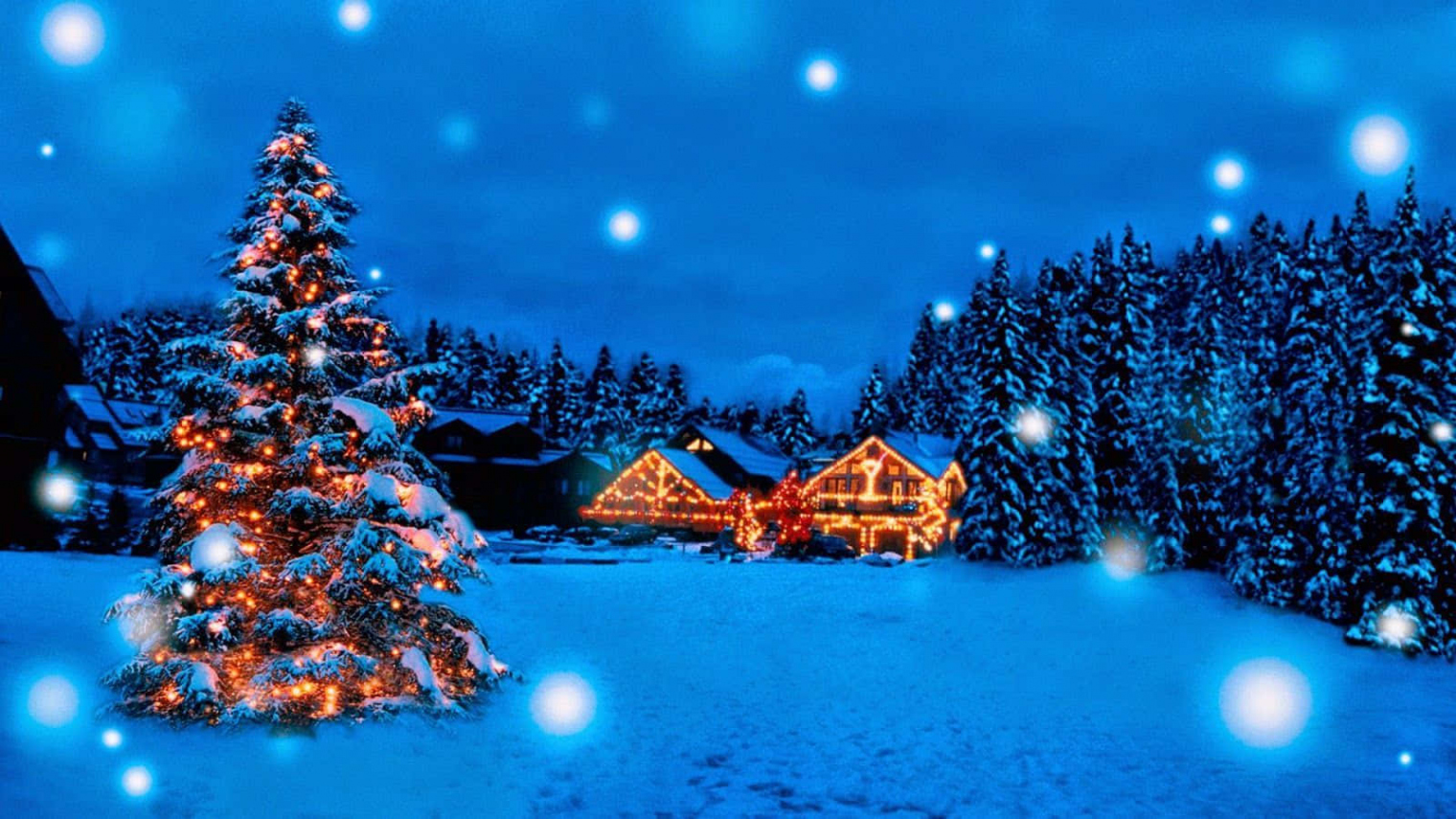 Download Christmas Background  Wallpapers