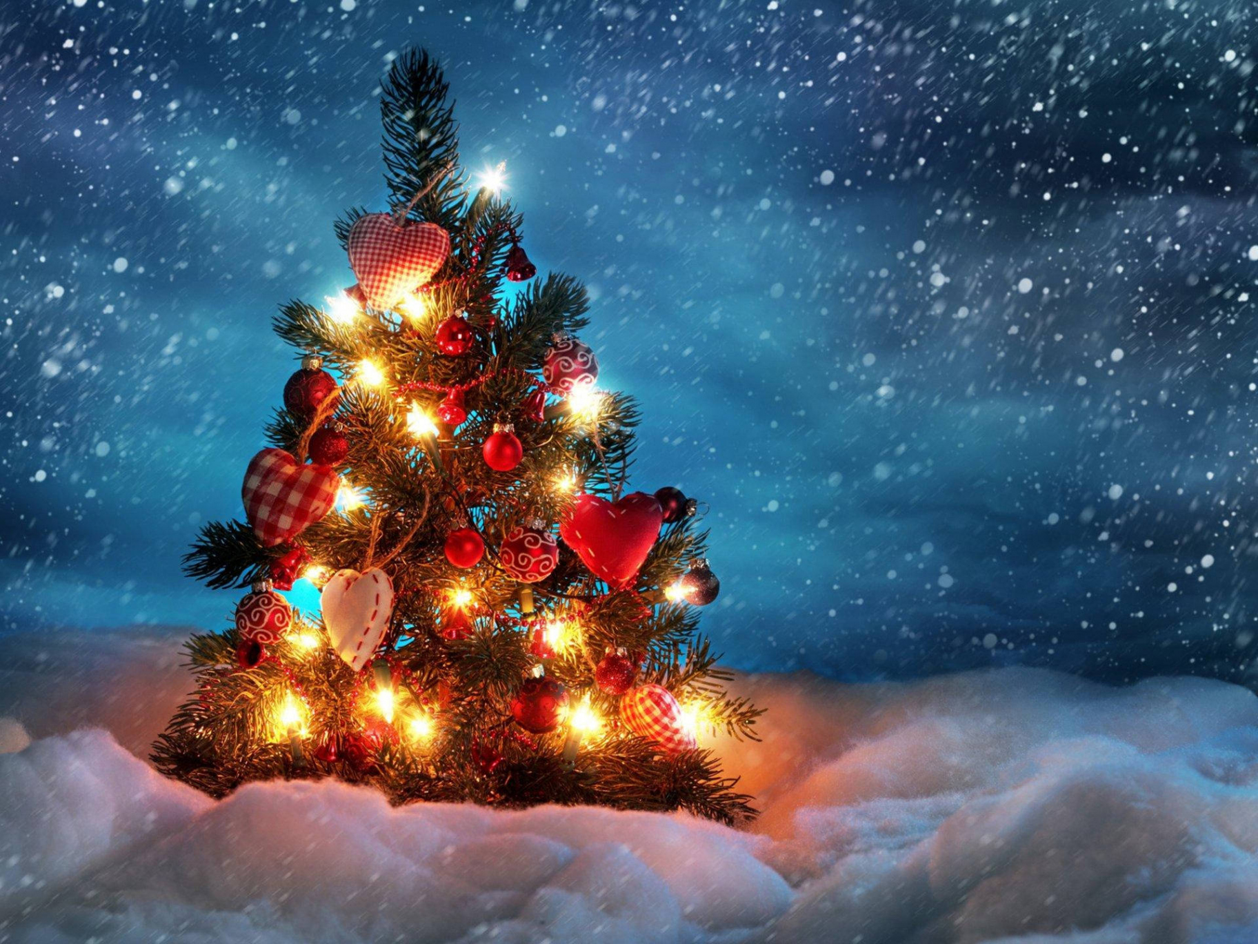 Download k Ultra Hd Christmas Tree Winter Wallpaper  Wallpapers