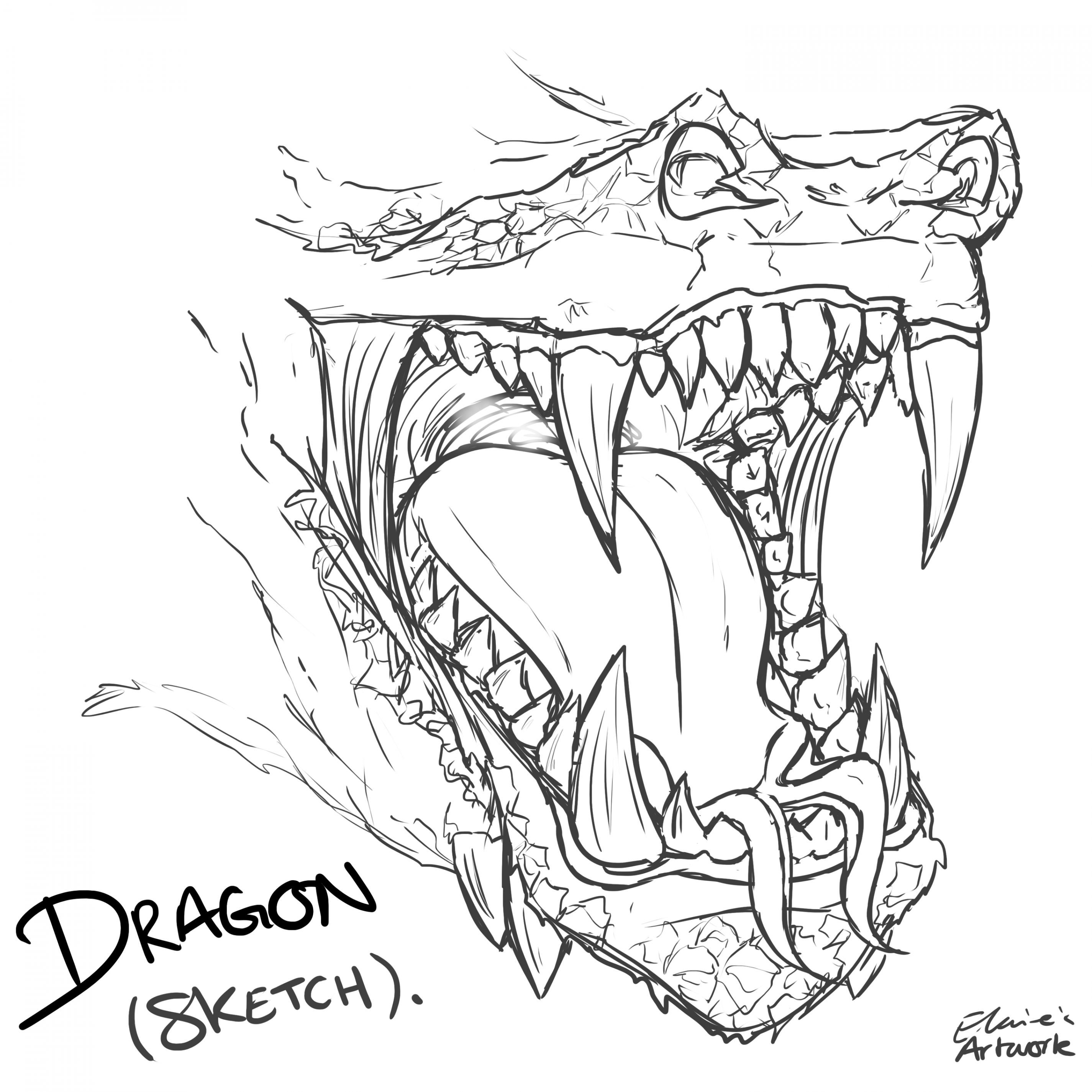 Dragon Sketch  Dragon sketch, Teeth drawing, Dragon drawing