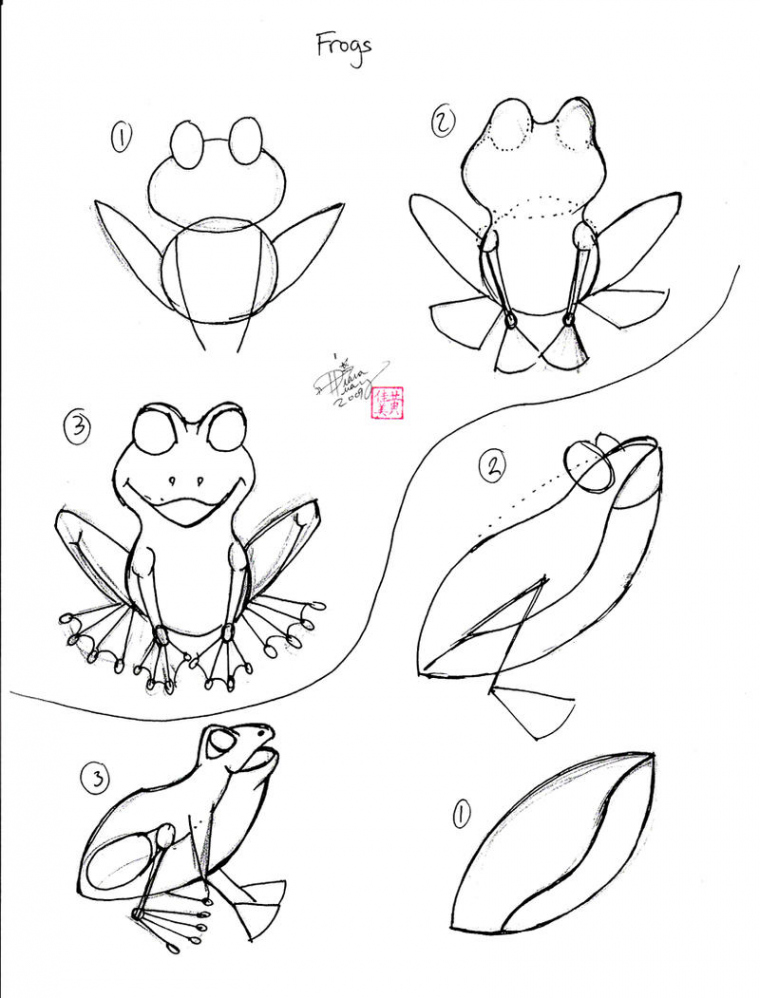 Draw a Frog  by Diana-Huang on DeviantArt