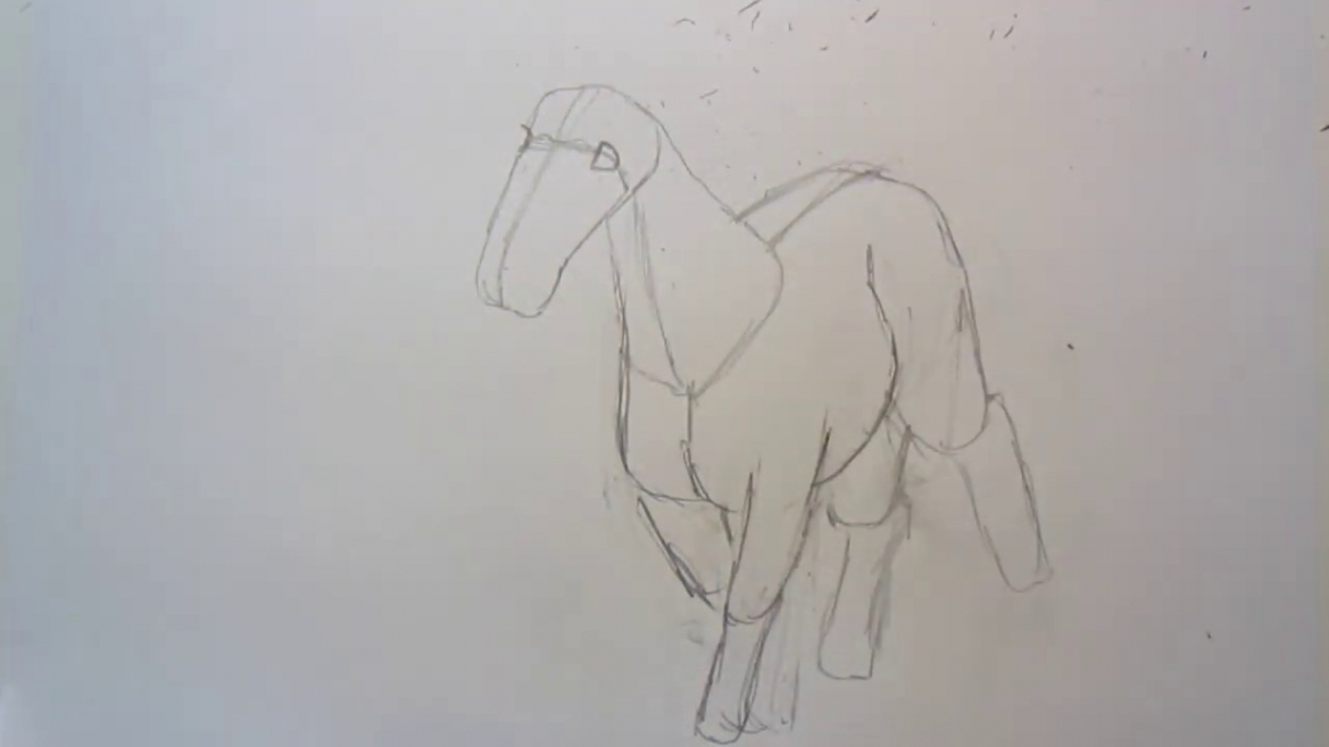 Drawing a cartoon / view horse