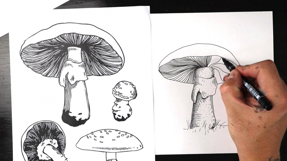 Drawing a mushroom with ink pen